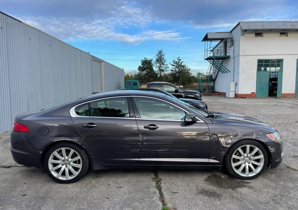 Jaguar XF cena 16700 przebieg: 244580, rok produkcji 2008 z Nysa małe 466